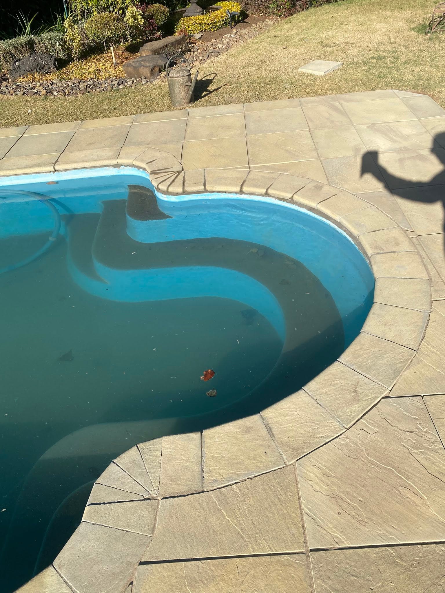 Curved stone paving surrounding an existing swimming pool, with garden bed alongside.